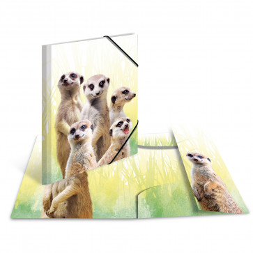 Herma Sammelmappe Motivprint Exotische Tiere A3