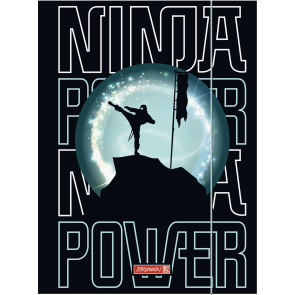 BRUNNEN Sammelmappe Karton A3 "Ninja Power"